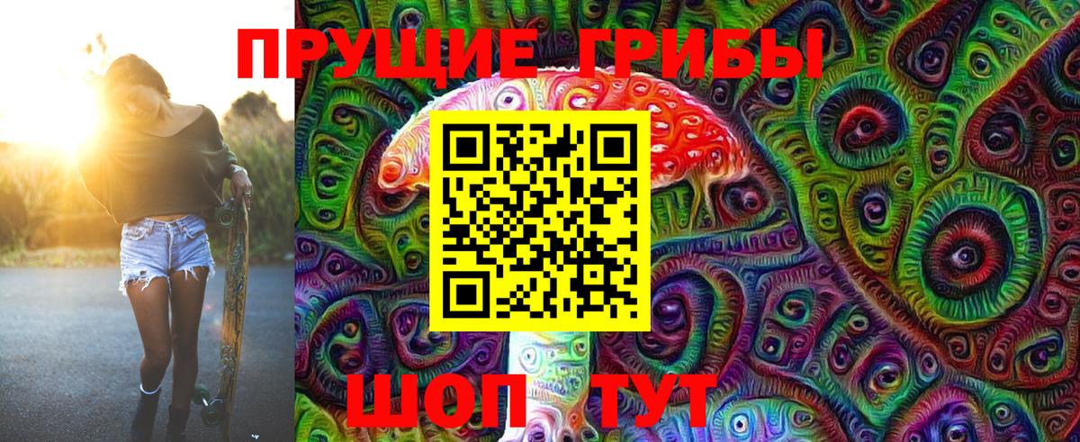 Заводоуковск  Галлюциногенные грибы Magic Shrooms  Вход с VPN  Псилоцибиновые грибы прущие грибы 