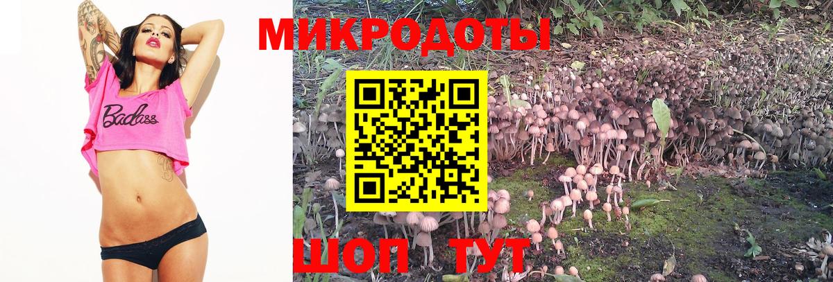 Галлюциногенные грибы Magic Shrooms Заводоуковск