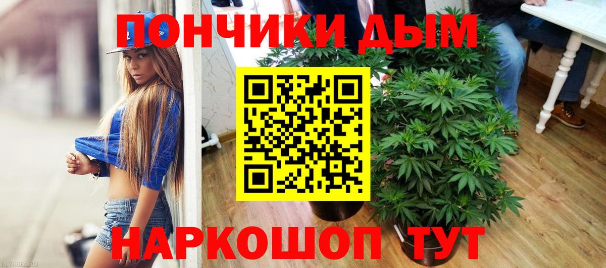 МАРИХУАНА план  Бошки марихуана AK-47  Заводоуковск  МАРИХУАНА семена  Вход с VPN 